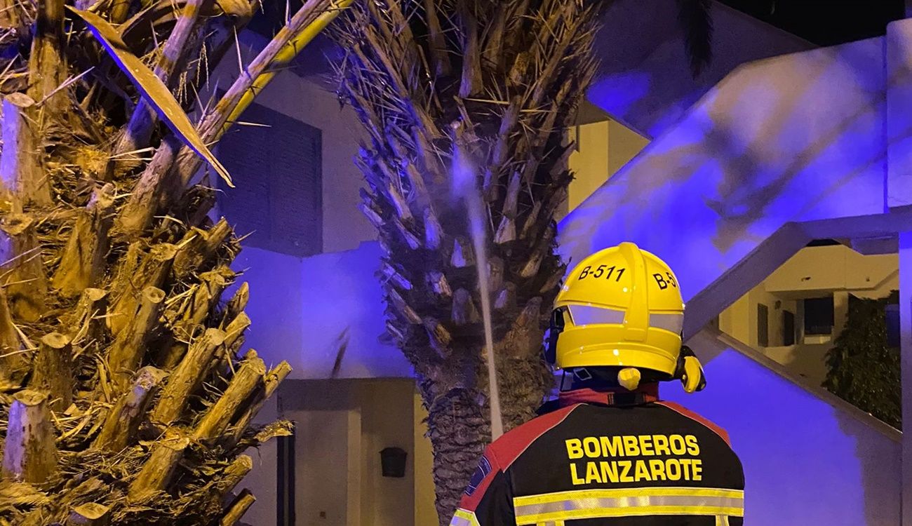 Incendio en una palmera