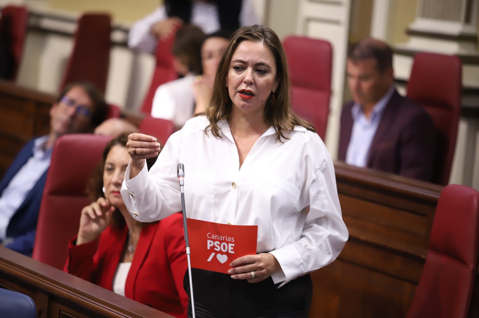 María Dolores Corujo, en el Parlamento de Canarias