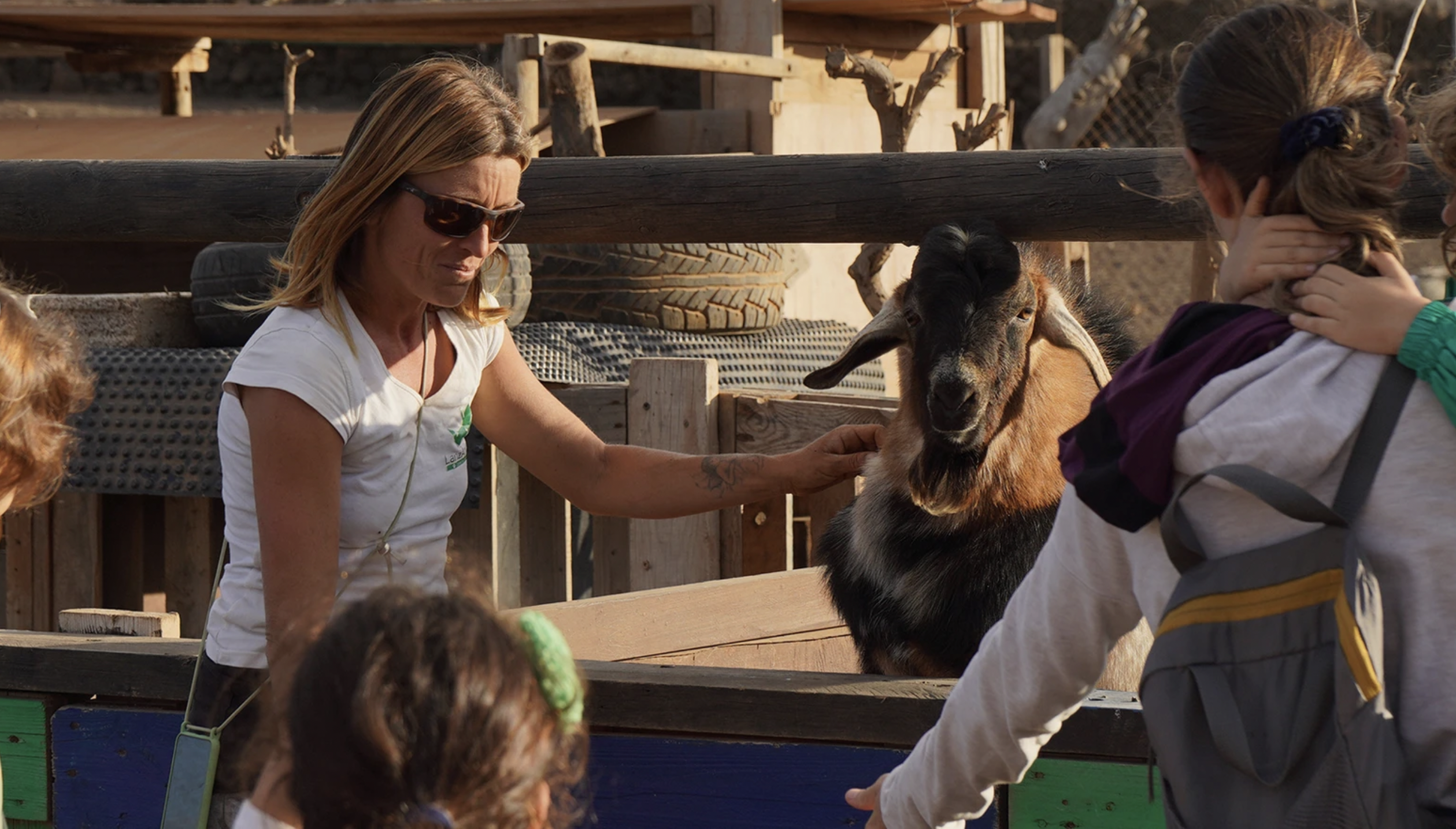 Lanzanimal trabaja, a través de animales, con grupos de personas de todas las edades