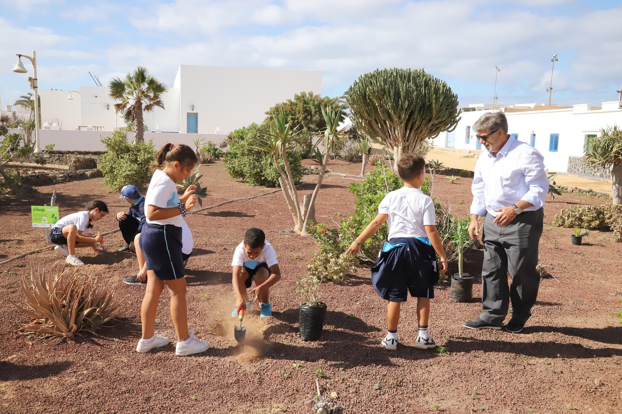 Plantación de flora autóctona en La Graciosa