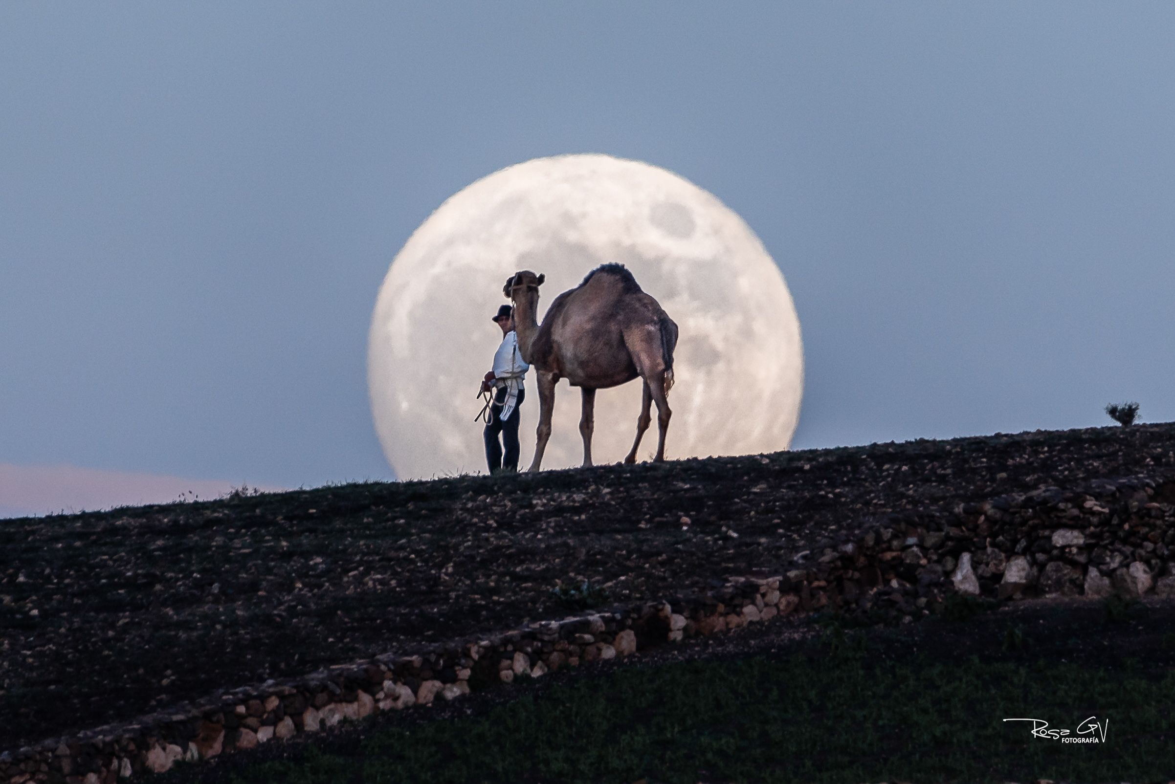 Fotografía del camello y la luna Autora: Rosa