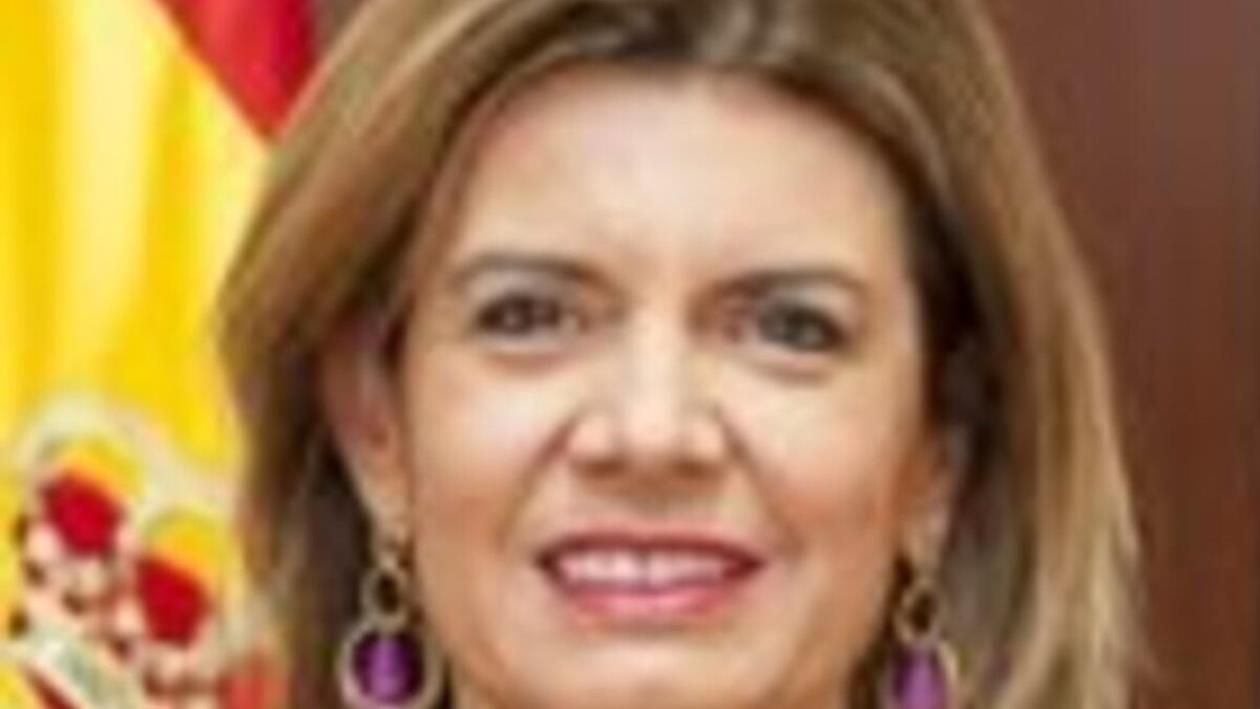 Elisabeth Hernández, nueva directora del Servicio Canario de Salud Elisabeth Hernández, nueva directora del Servicio Canario de Salud