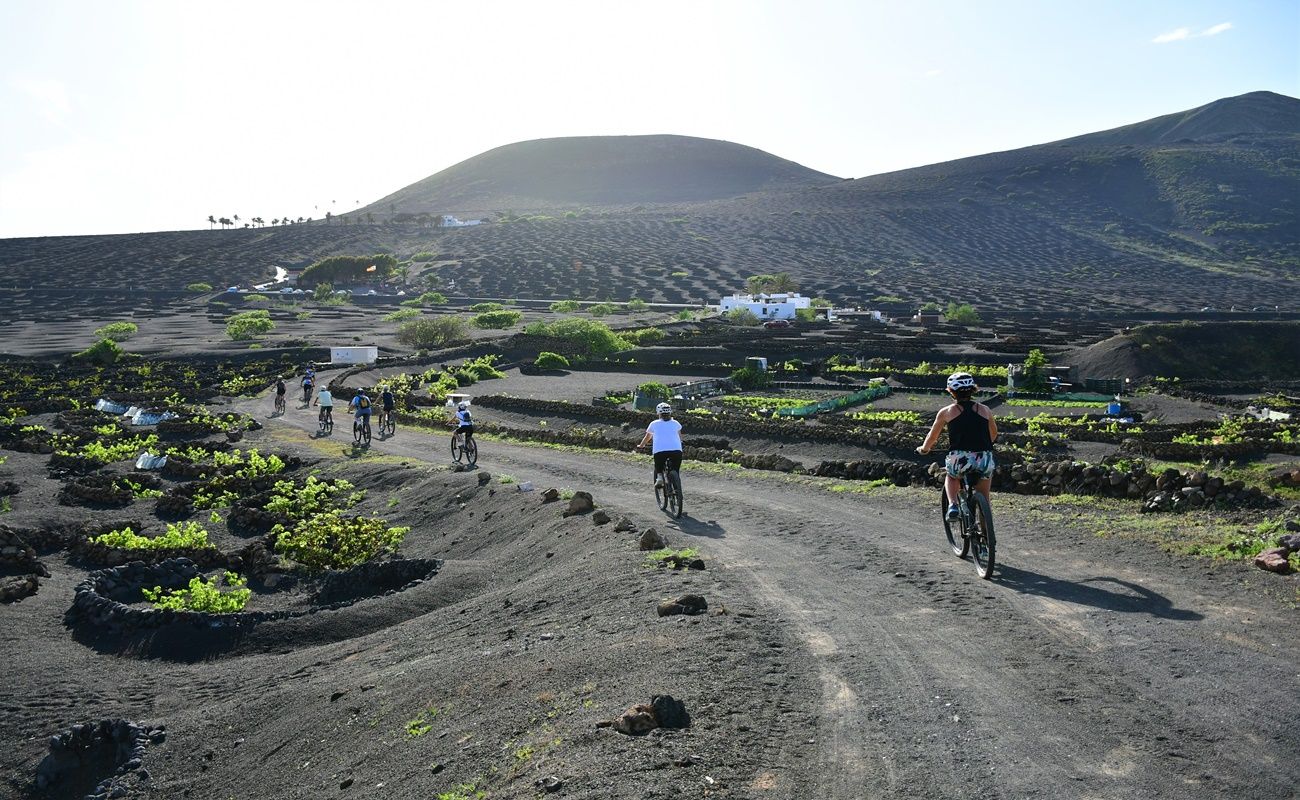 Ruta en bicicleta de La Geria