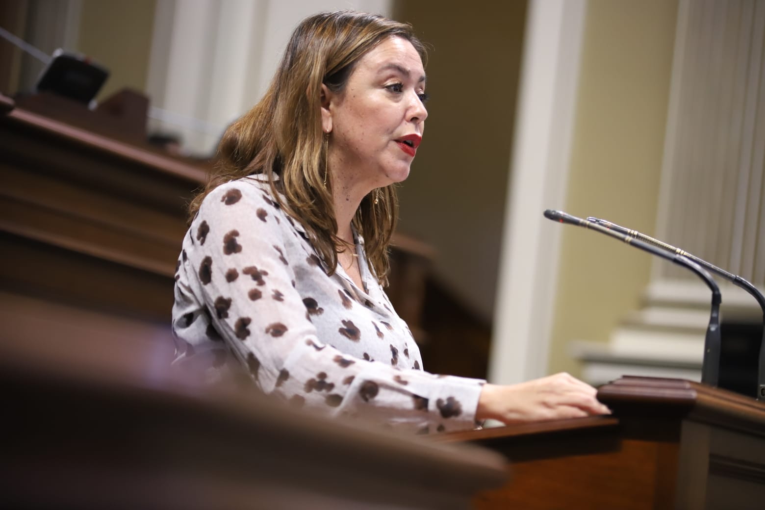 La diputada del Grupo Parlamentario Socialista por Lanzarote, Dolores Corujo