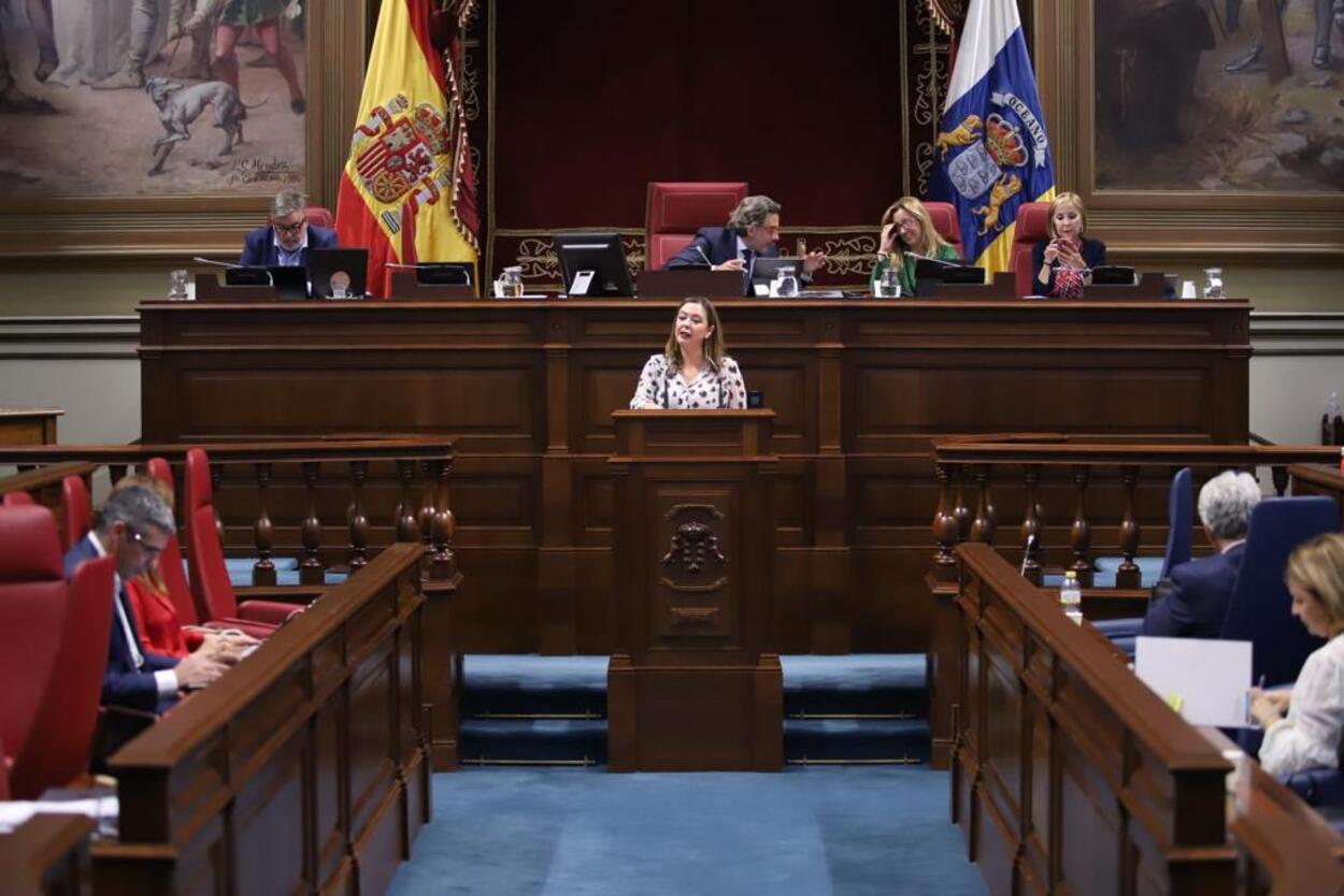 La presidenta del Cabildo de Lanzarote y parlamentaria, María Dolores Corujo