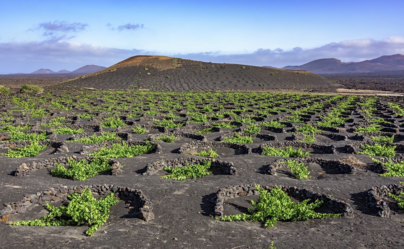 Uno de los varios paisajes agrícolas con los que cuenta la isla de Lanzarote