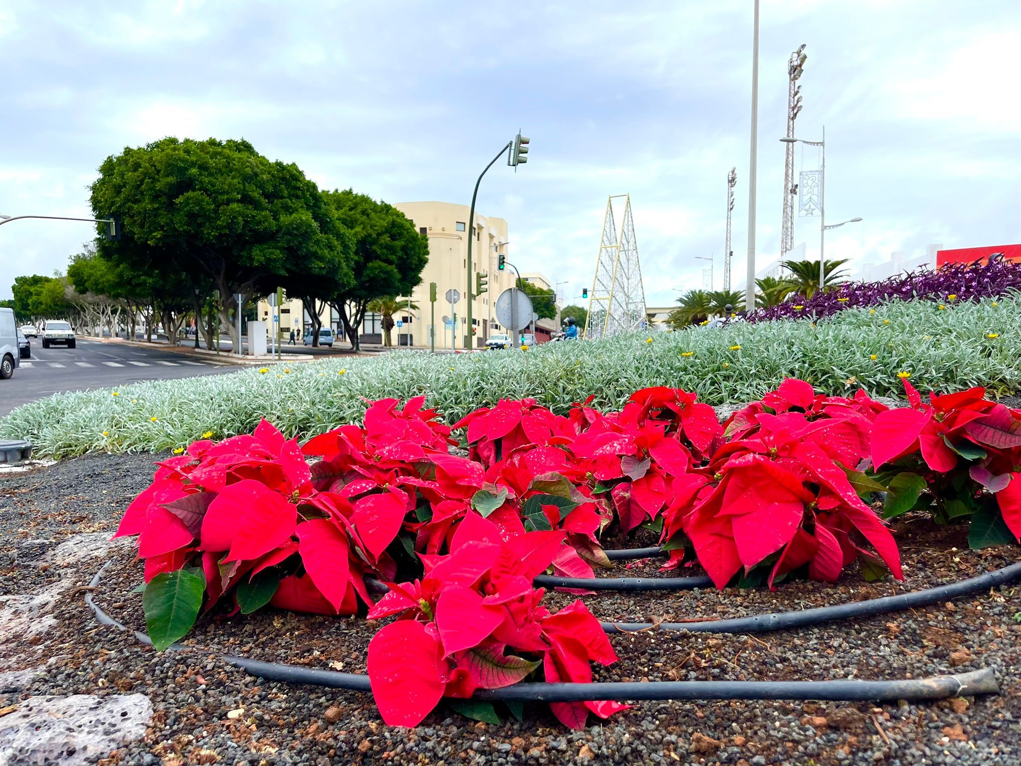 Pascuas en Arrecife