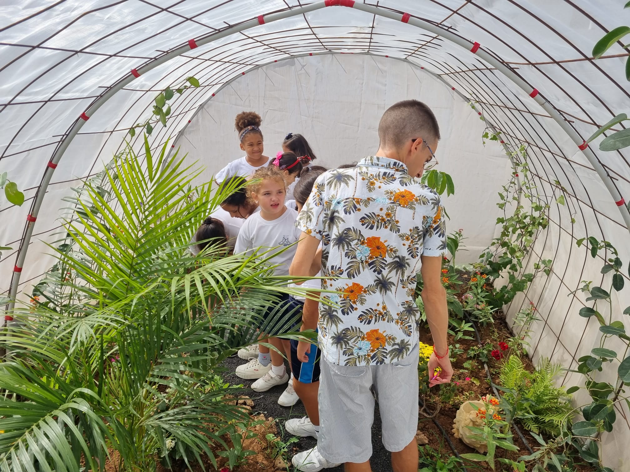 Mariposario del CEIP Benito Méndez Tarajano