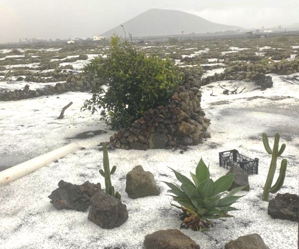 Imagen de un jardín en Masdache tras la garnizada Imagen de un jardín en Masdache tras la garnizada