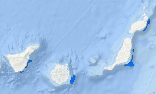 Todas las zonas con alto potencial para la eólica marina en el archipiélago Todas las zonas con alto potencial para la eólica marina en el archipiélago