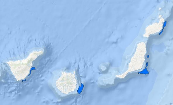 Todas las zonas con alto potencial para la eólica marina en el archipiélago