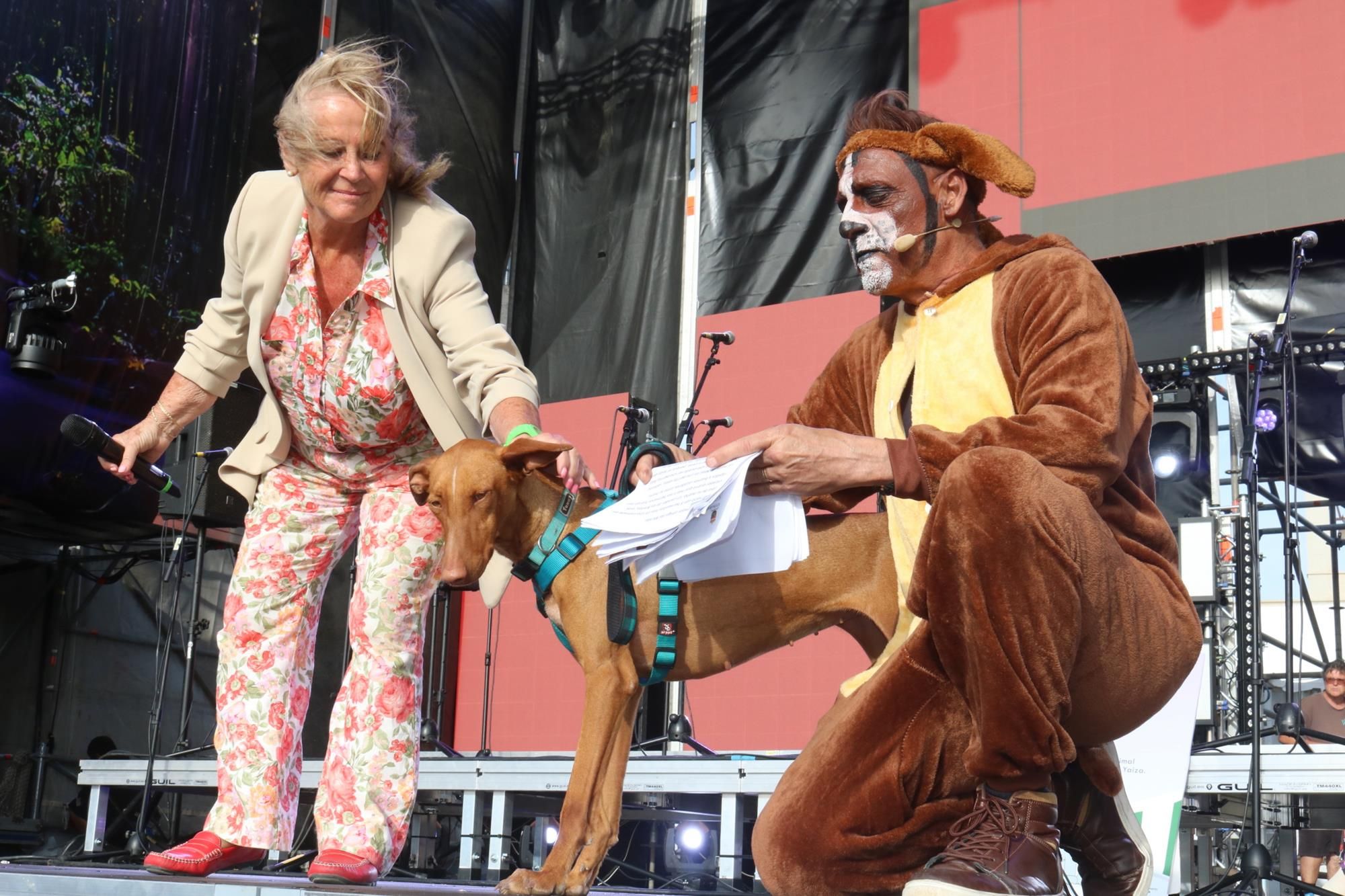 Carnaval canino en Playa Blanca Carnaval canino en Playa Blanca