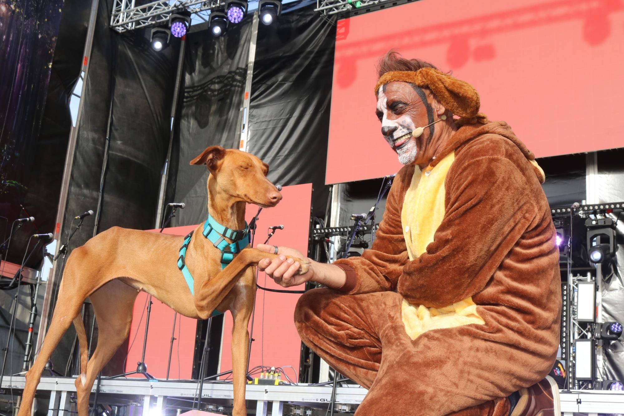 Carnaval canino en Playa Blanca 