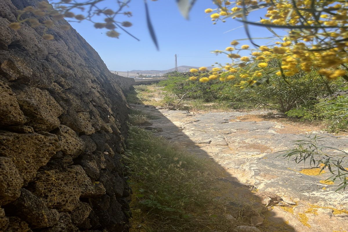 Imagen del barranco que quieren talar en Costa Teguise