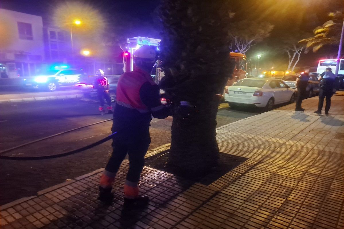 Los Bomberos apagando el incendio de una palmera en la Rambla Medular en Arrecife