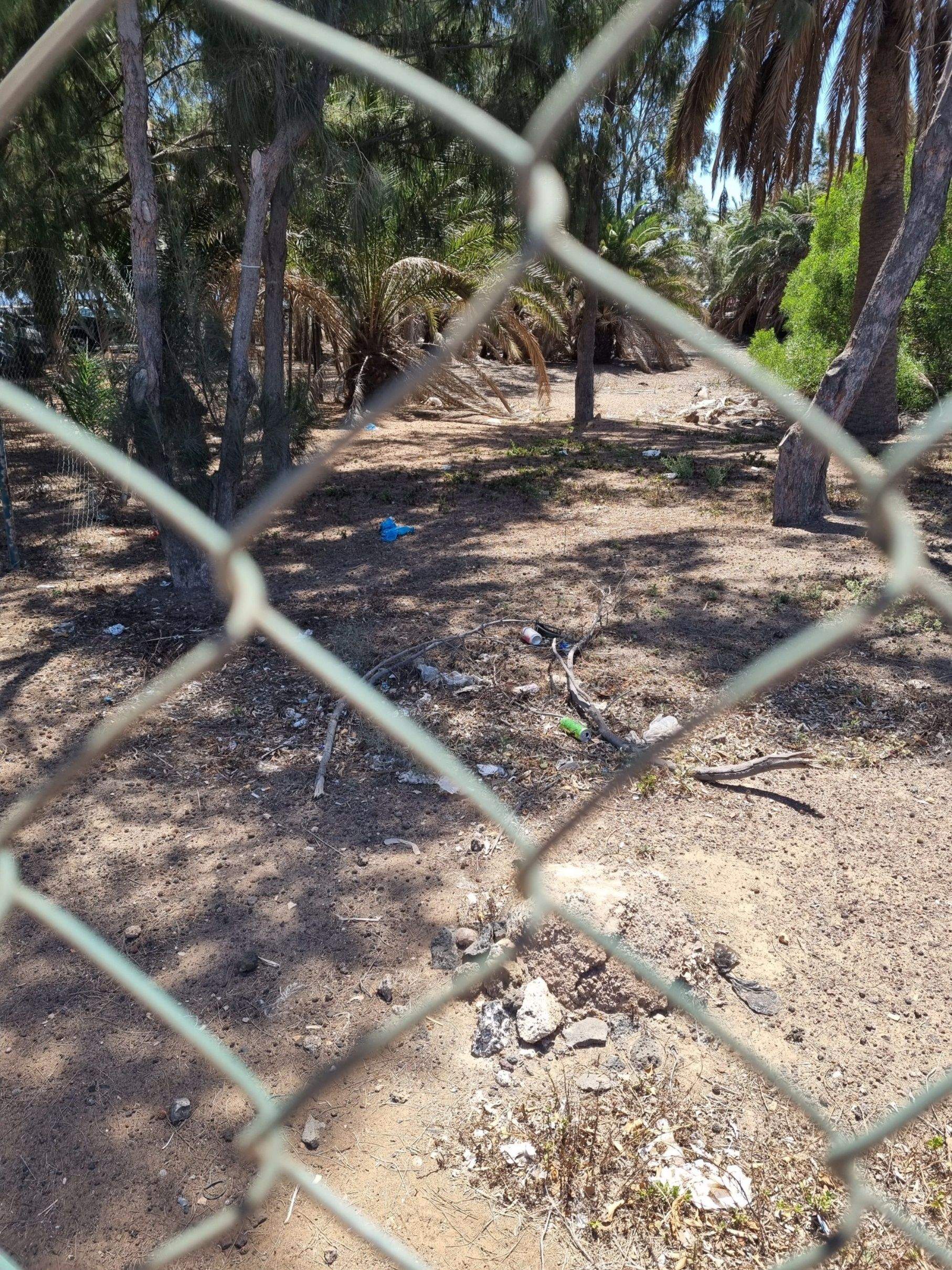 La "basura" y "aves muertas" que se amontonan en la Casa de Garcetas en Arrecife