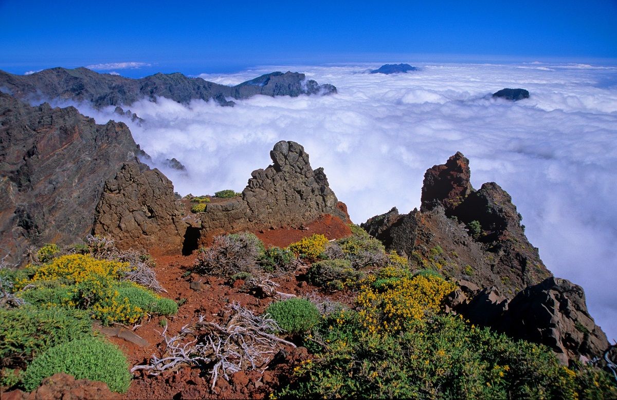 Mar de nubes en La Palma. Foto: visitlapalma.es