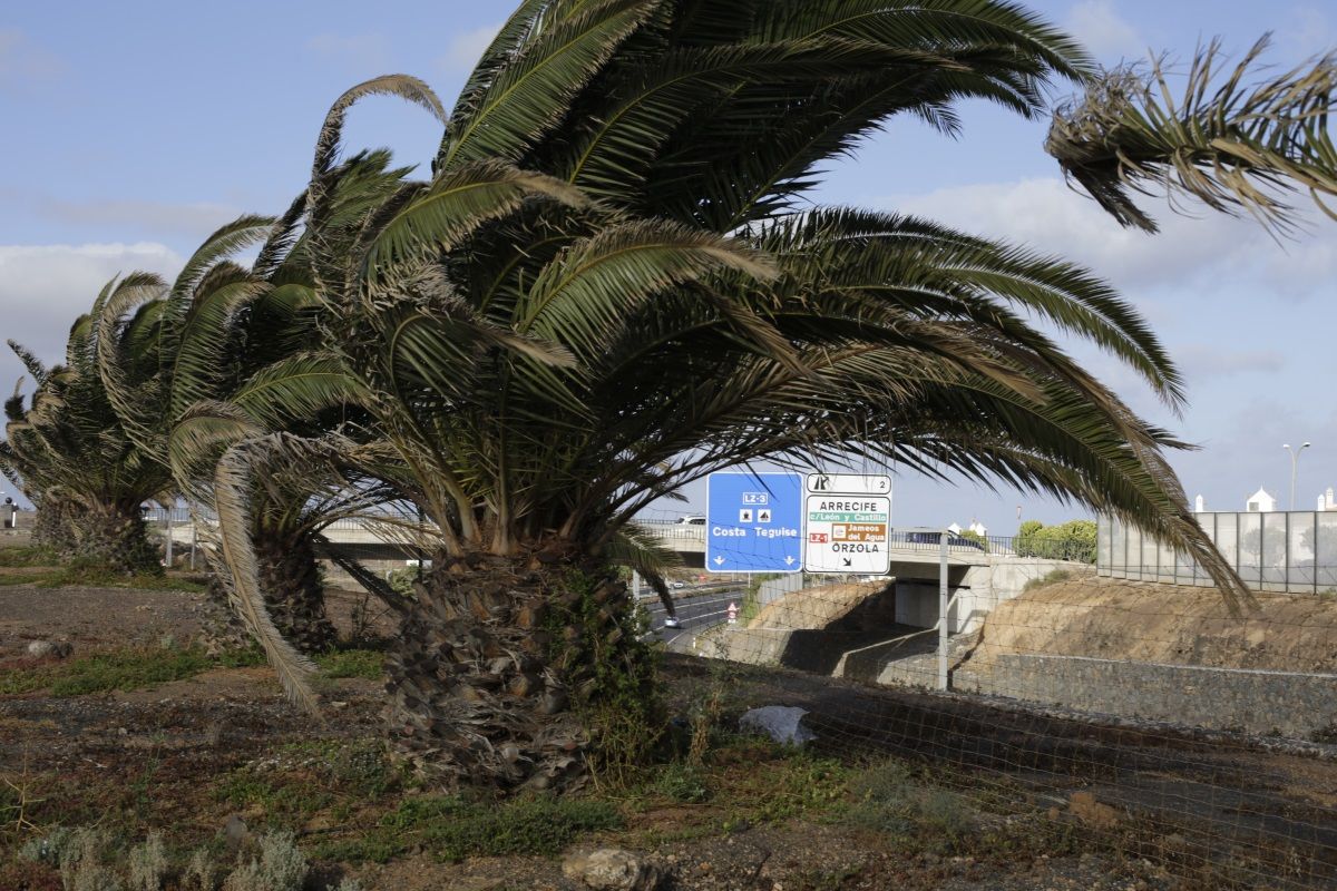 Viento en Lanzarote (Foto: José Luis Carrasco)