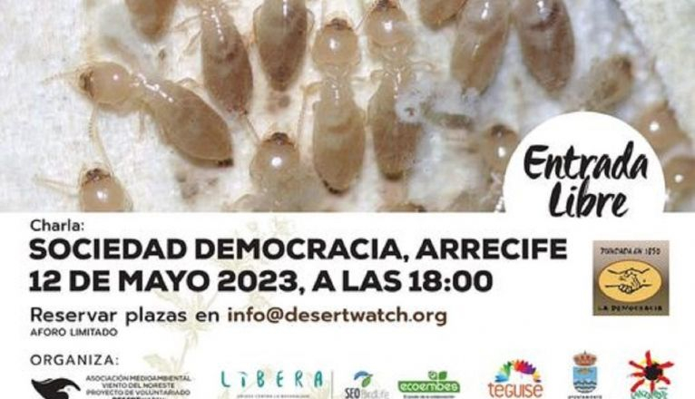 Cartel de termitas Cartel de termitas