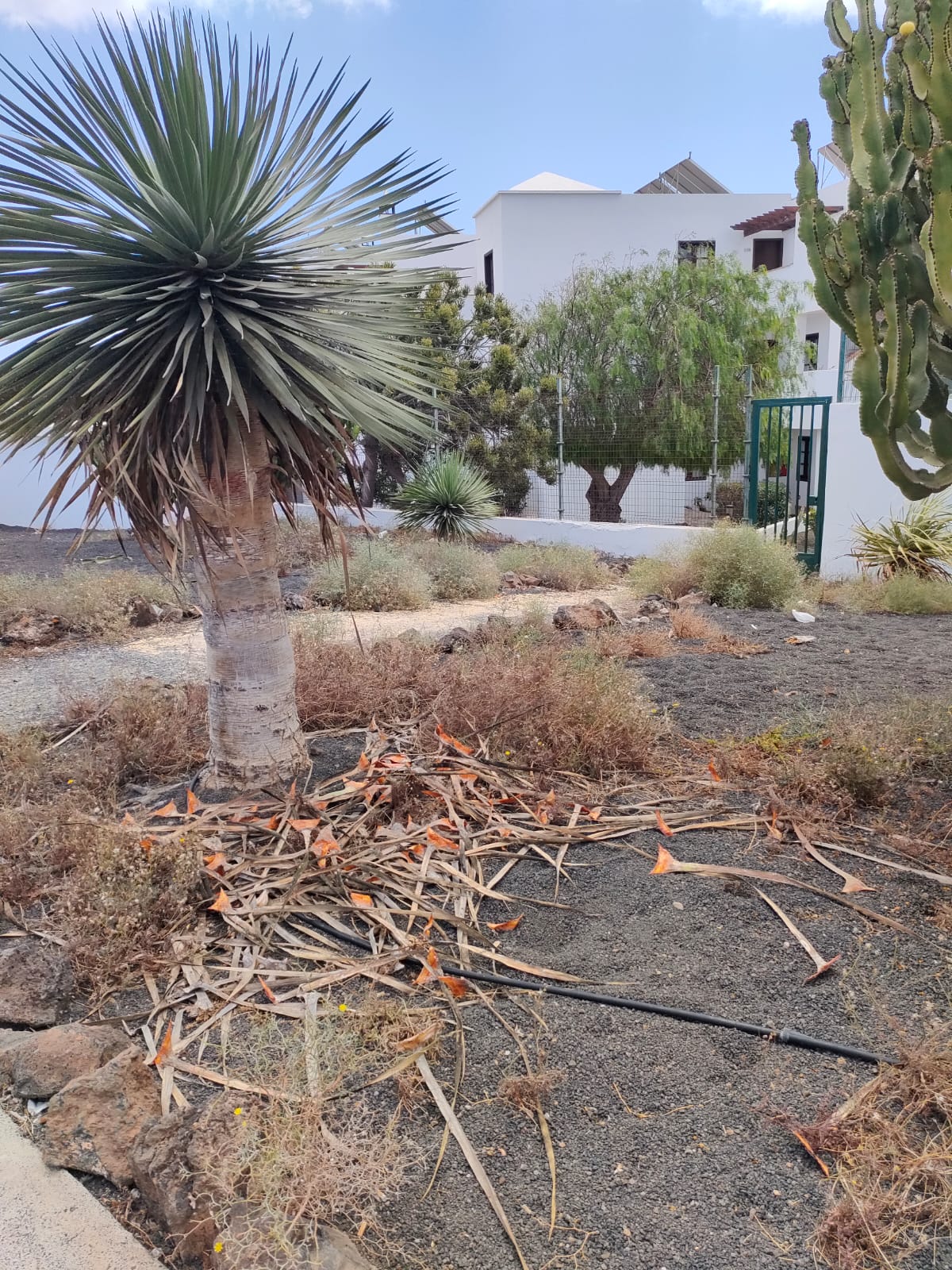 Estado de las calles de Costa Teguise