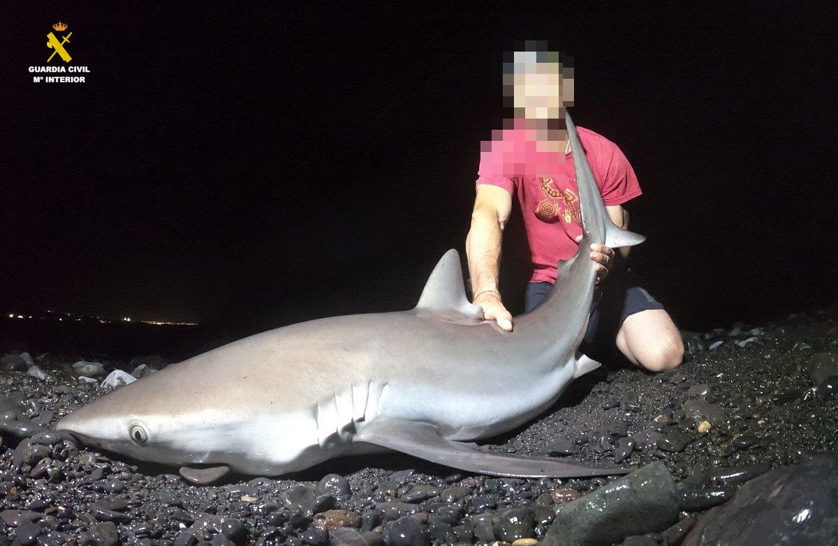 Detenido por el responsable de la venta de excursiones para la captura de tiburones protegidos en Lanzarote