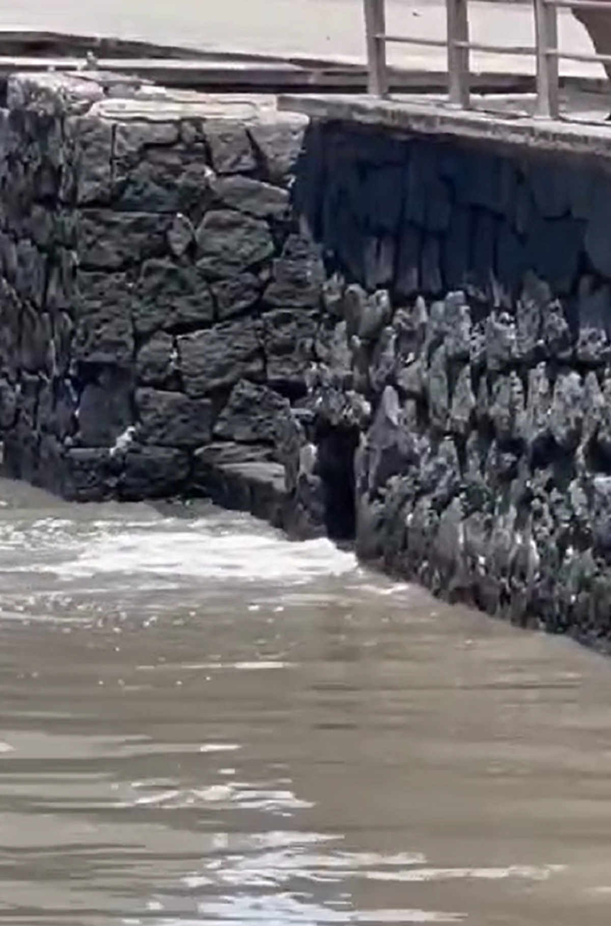 Vertidos de agua al mar frente al Parque Islas Canarias en Arrecife