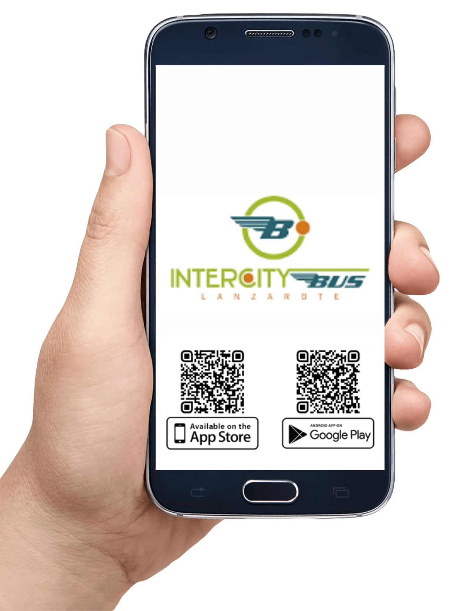 Intercity Bus continues to exceed passenger figures thanks to its ...