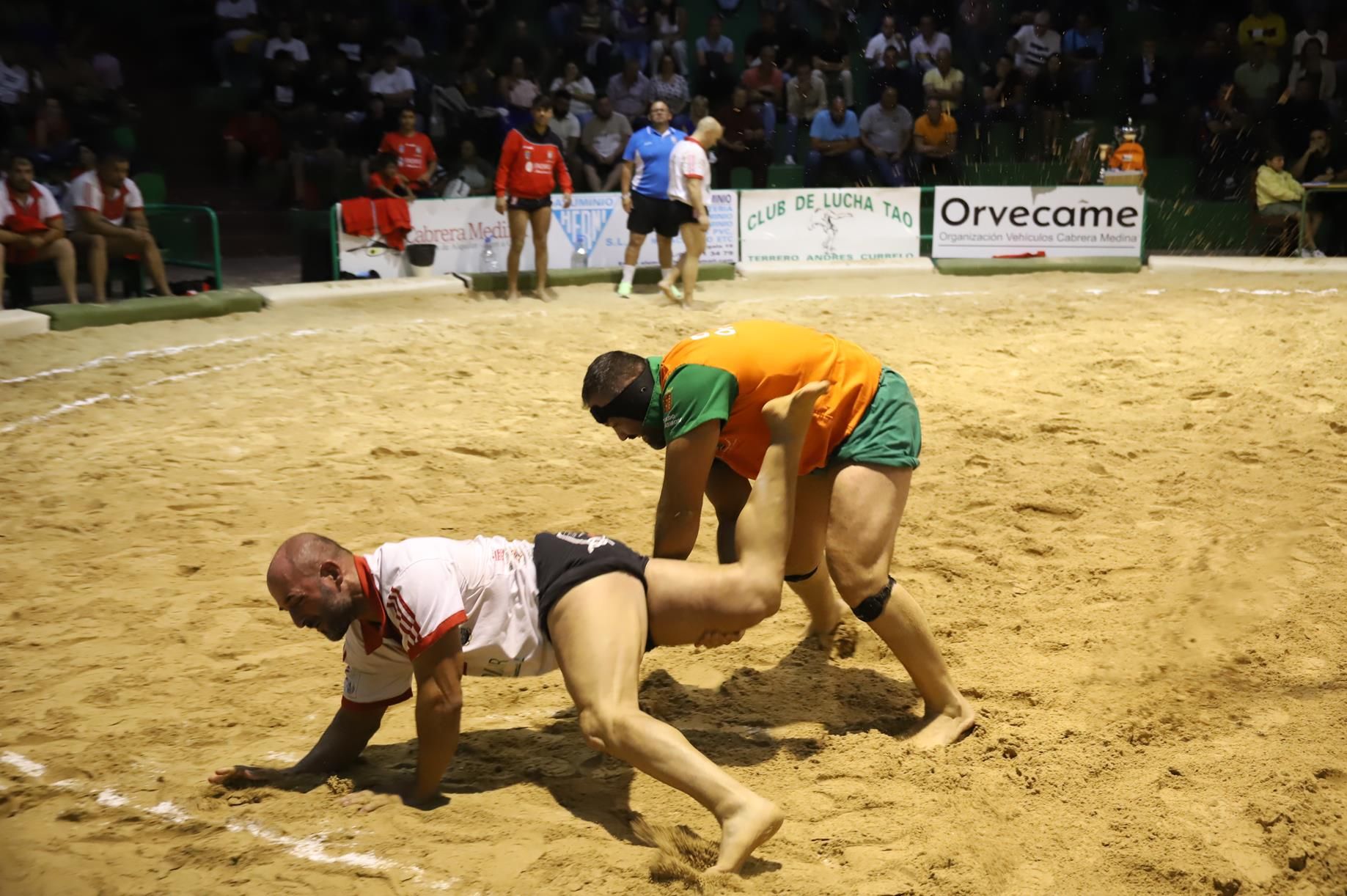 Final lucha Canaria, C.l. Union Norte   Union Sur Tias (15)