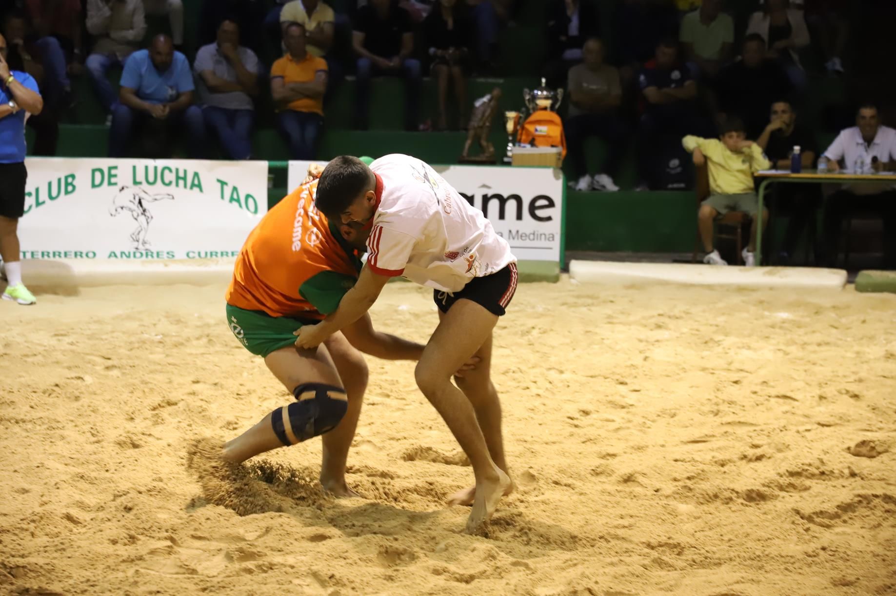 Final lucha Canaria, C.l. Union Norte   Union Sur Tias (25)