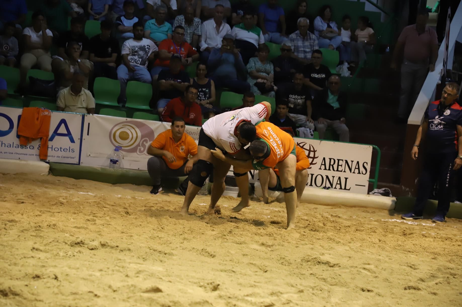 Final lucha Canaria, C.l. Union Norte   Union Sur Tias (38)