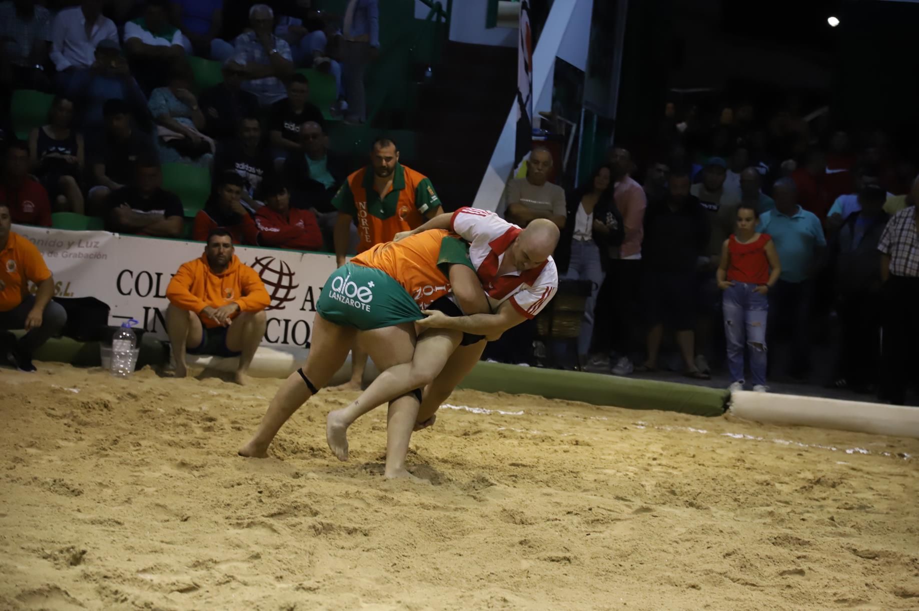 Final lucha Canaria, C.l. Union Norte   Union Sur Tias (41)