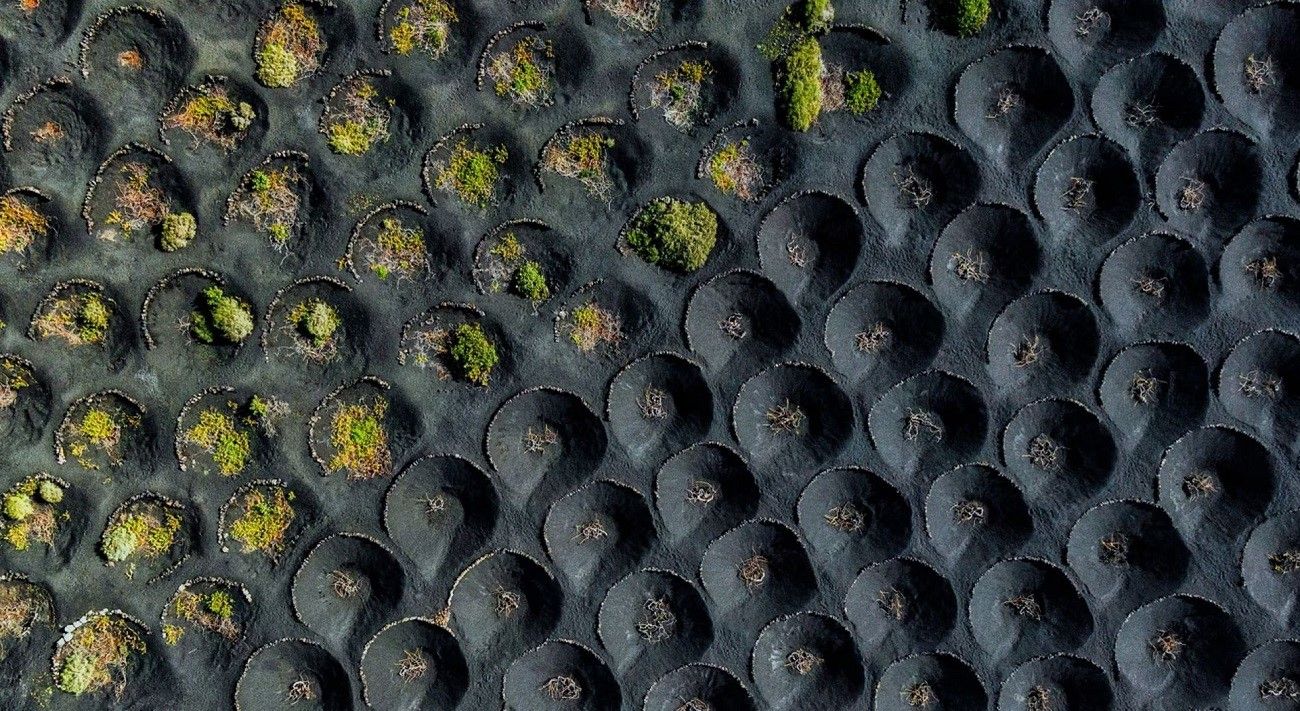 Fotografía aérea de La Geria premiada en los Drone Photo Awards 2023