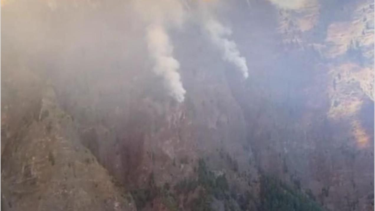 Incendio en La Palma