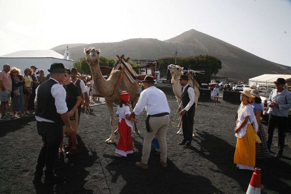 La vendimia tradicional de La Geria. Foto: José Luis Carrasco