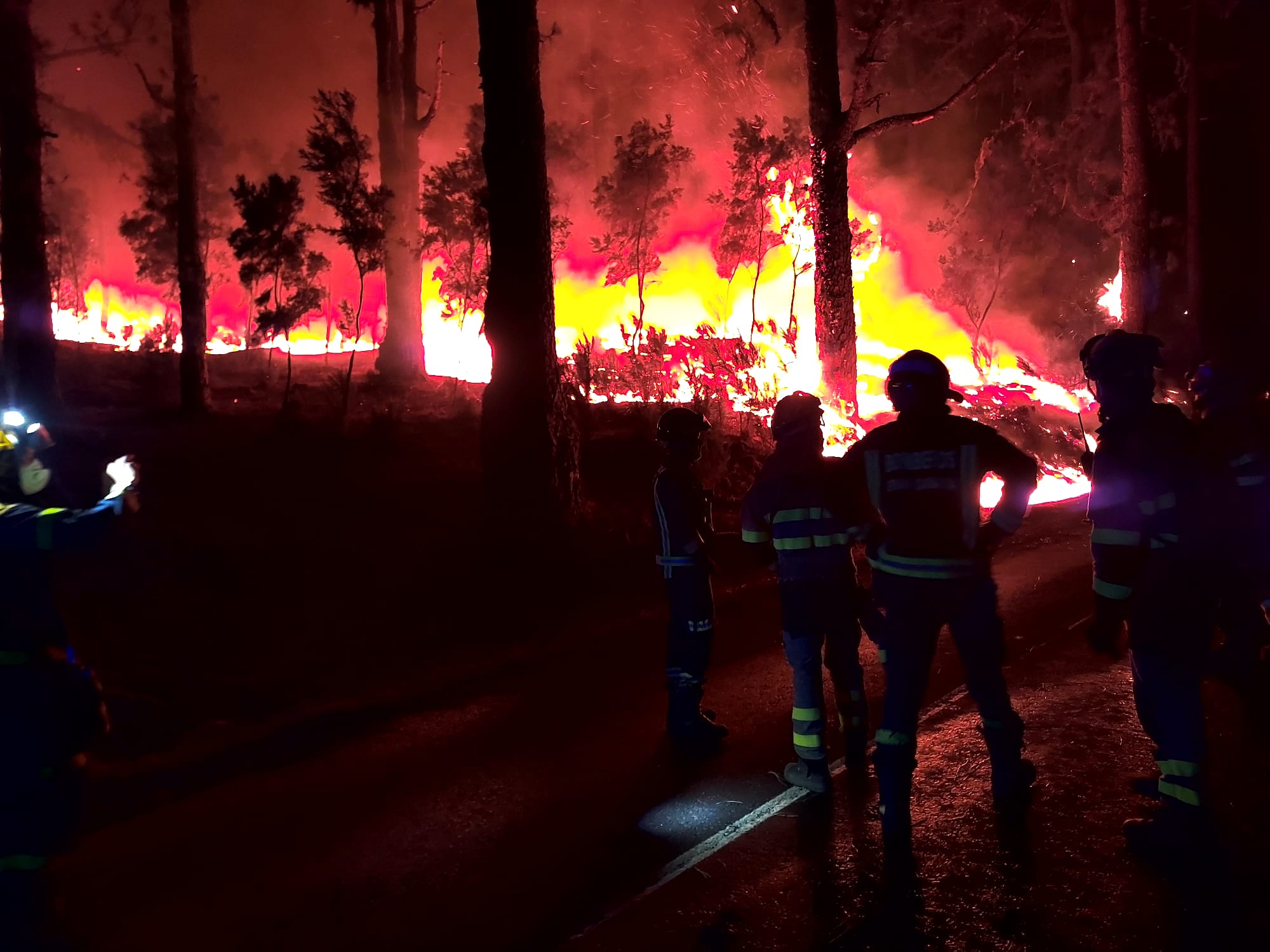 Bomberos de Lanzarote colaboran en las extinción del incendio de Tenerife. Foto: CECOES. 