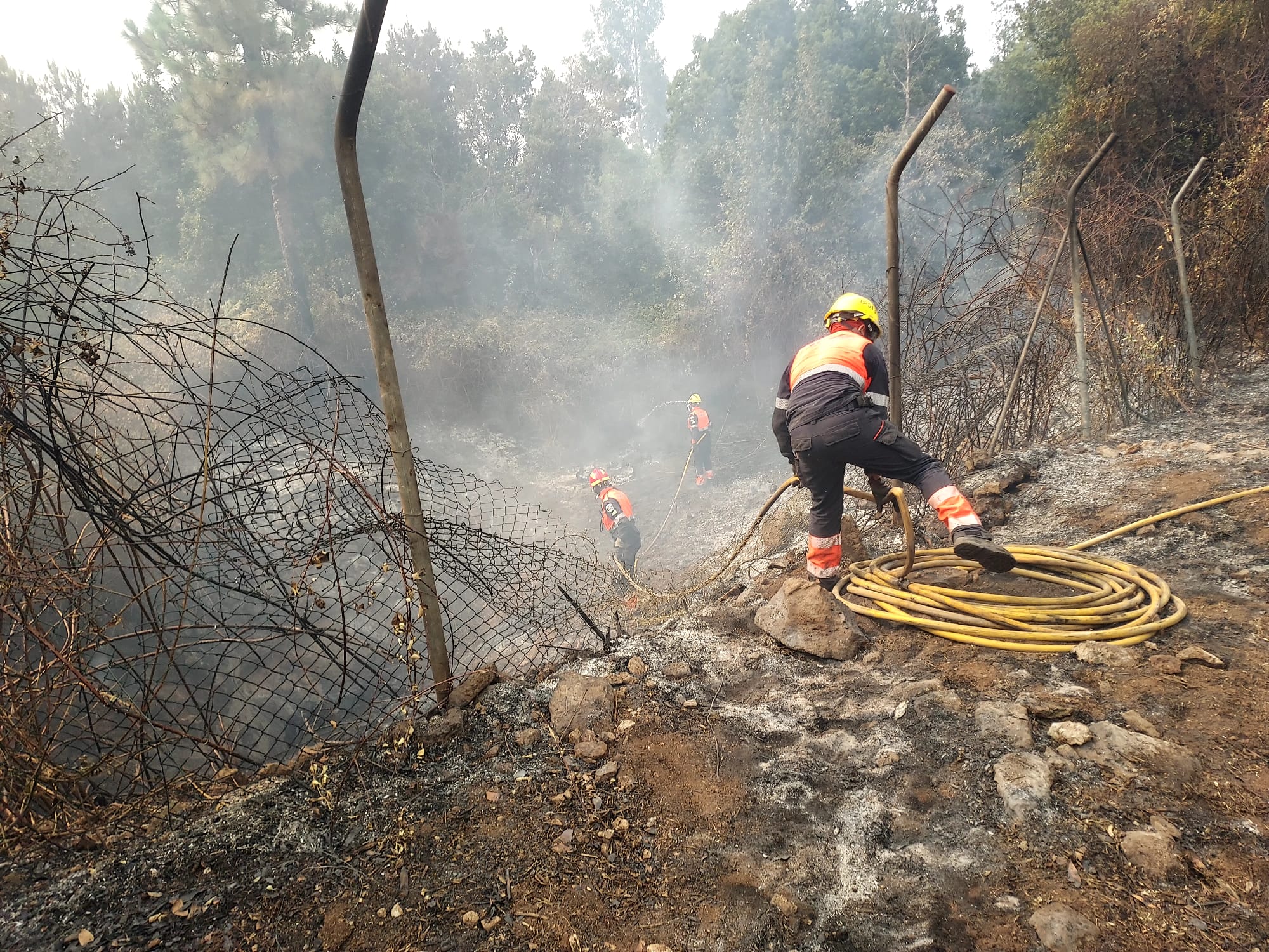 Bomberos de Lanzarote trabajan en la extinción del incendio que afecta a Tenerife