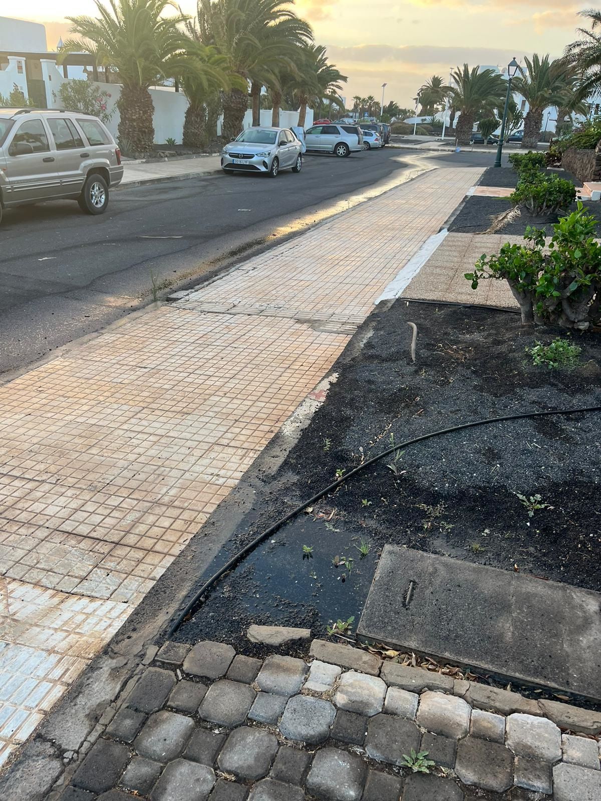 Un río de agua de uno de los jardines de Costa Teguise