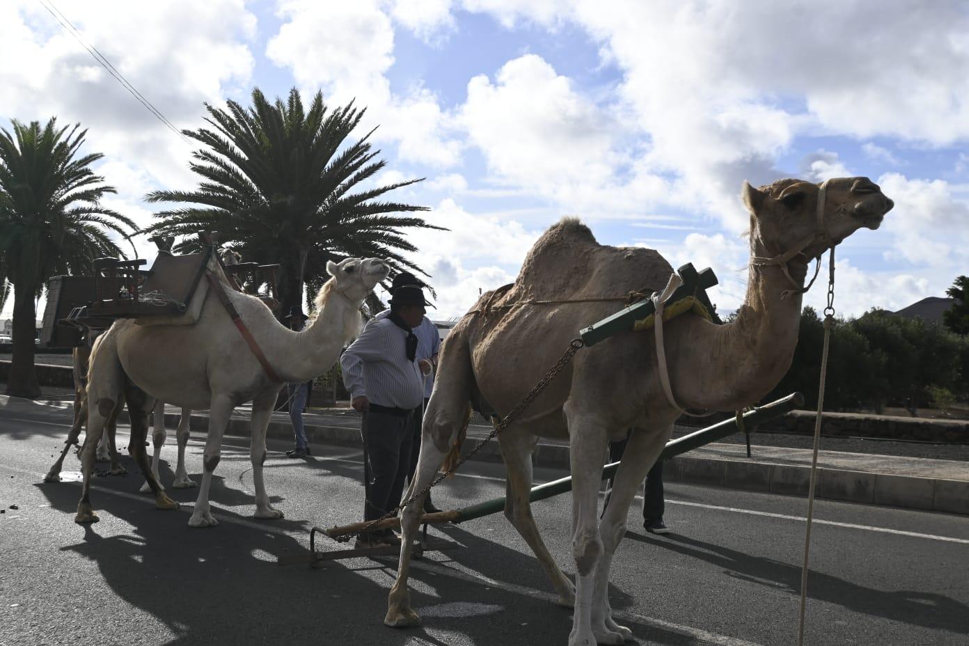 Romería de Los Remedios, 2023 Romería de Los Remedios, 2023
