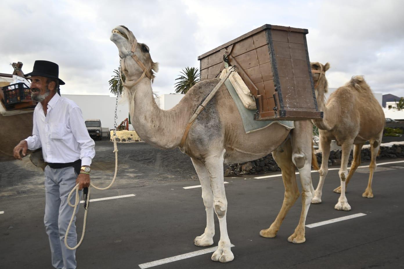 Romería de Los Remedios, 2023 Romería de Los Remedios, 2023