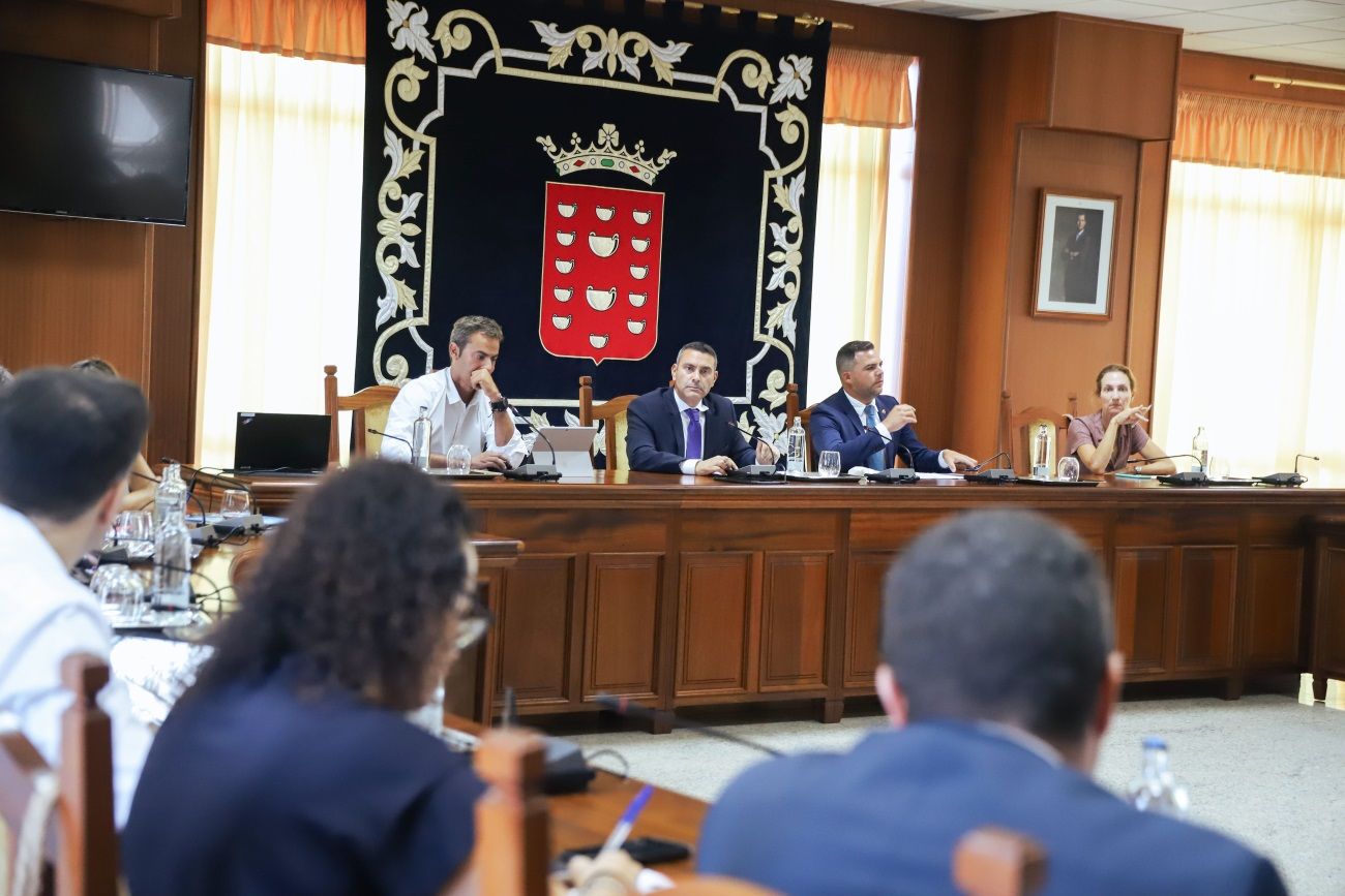 Pleno del Cabildo de Lanzarote