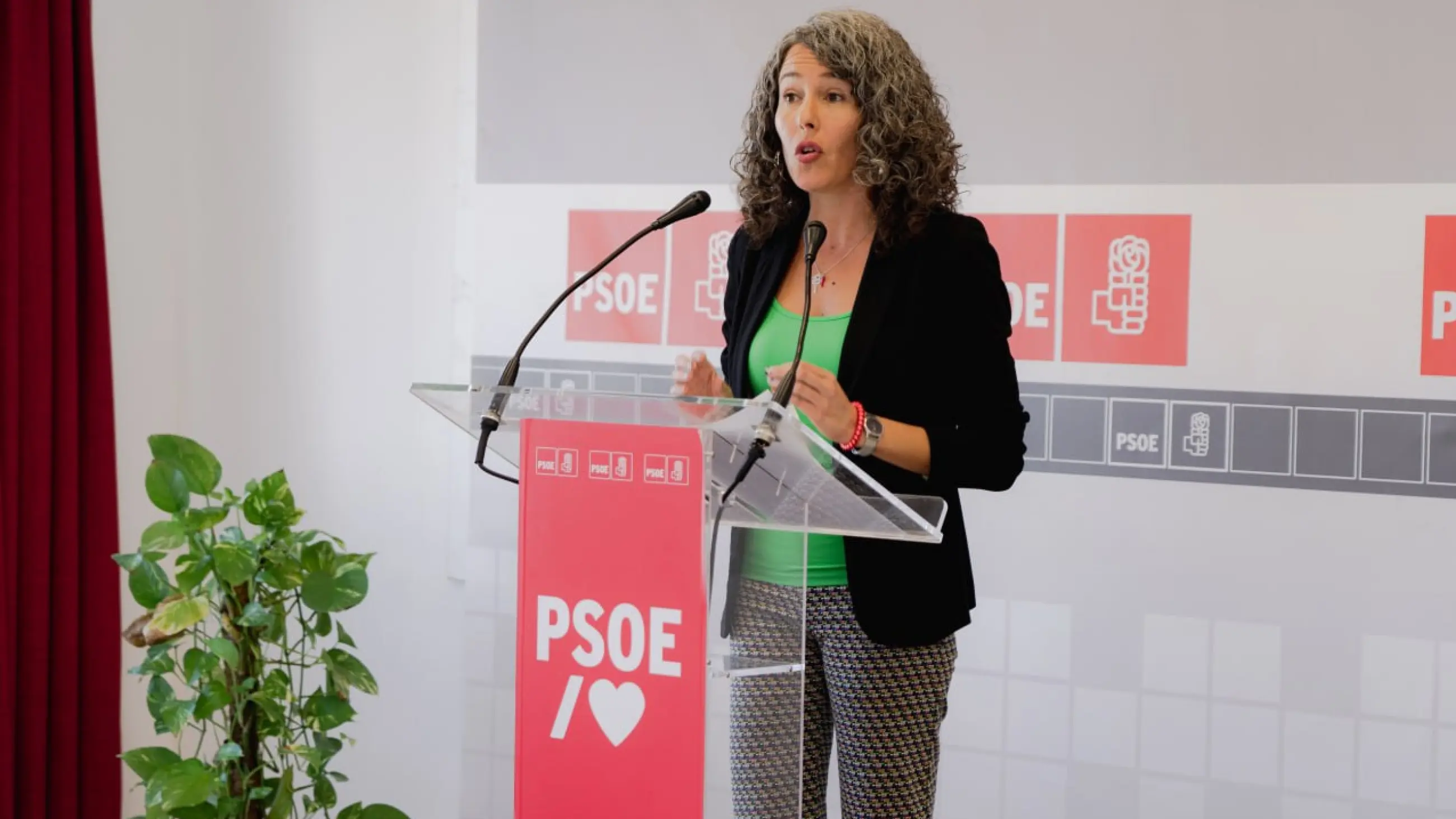 La portavoz del Grupo Socialista en el Cabildo de Lanzarote y vicesecretaria del PSOE, Ariagona González