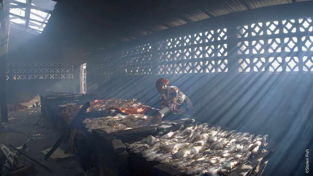 Una captura del documental 'Stolen Fish' sobre la pesca ilegal en Gambia. Foto: Gosnia Juszczak