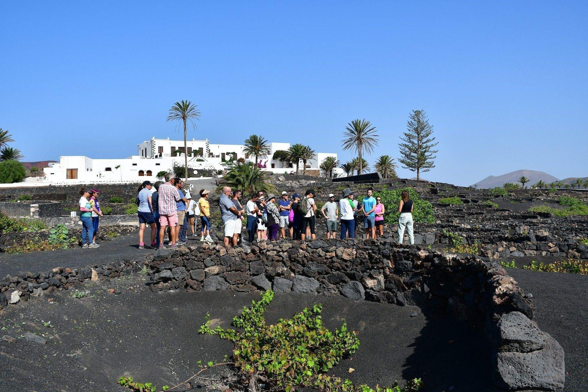 Ruta enoturística durante una edición anterior de la Semana del Vino de Lanzarote