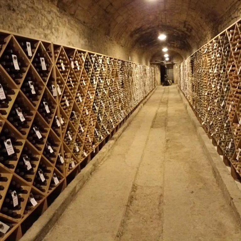 Festival Vinopoesía Festival Vinopoesía