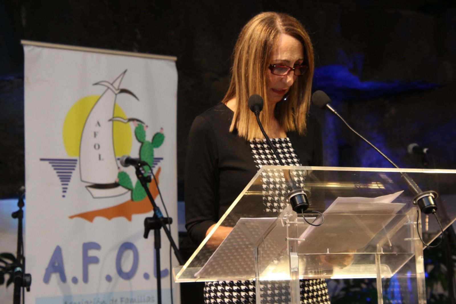 Cena benéfica de AFOL, 2023