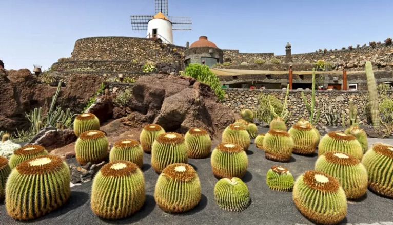 Vista exterior del Jardín de Cactus
