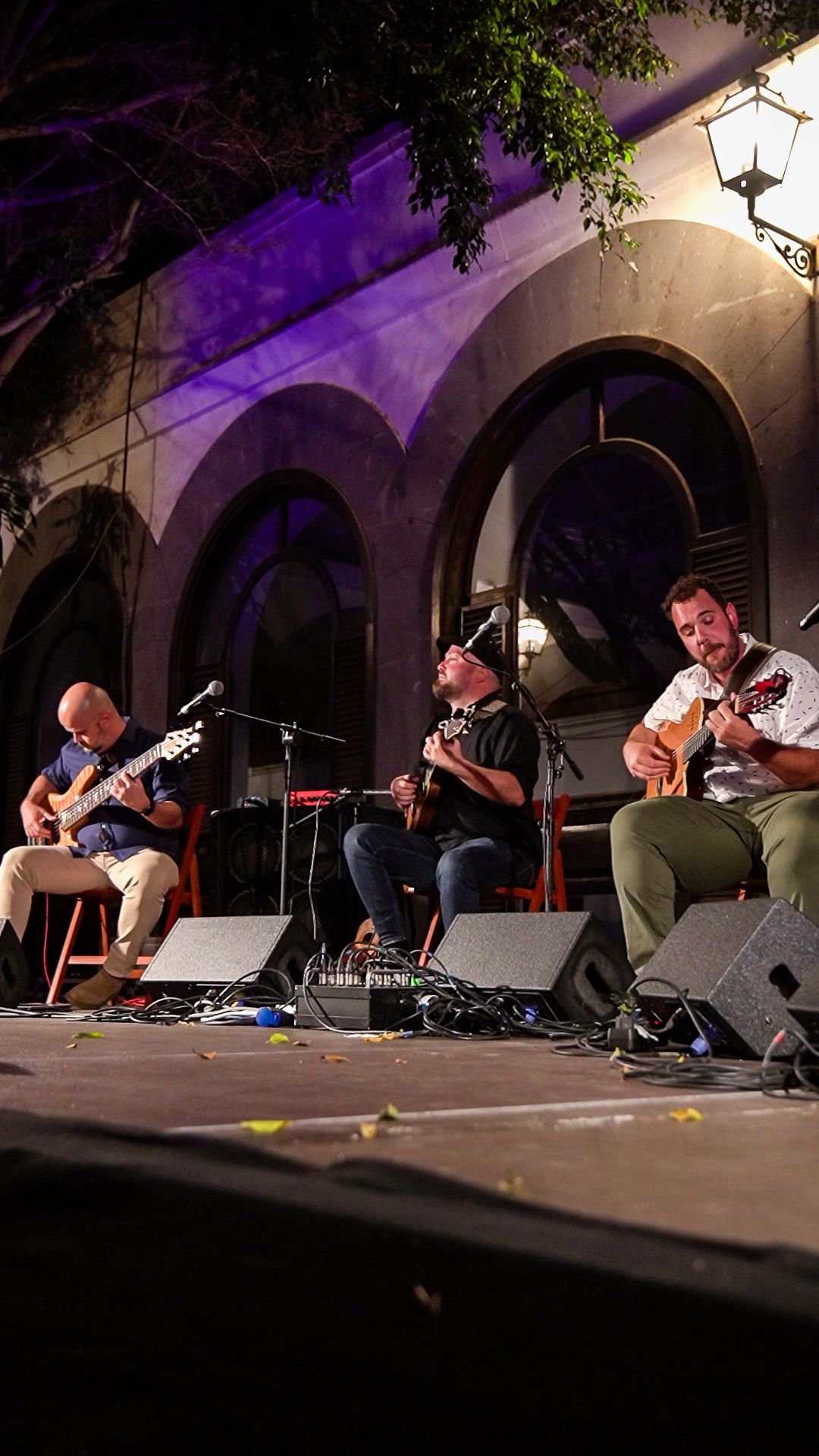 De la raíz a la tierra (Fotos: Iván Umpiérrez) De la raíz a la tierra (Fotos: Iván Umpiérrez)