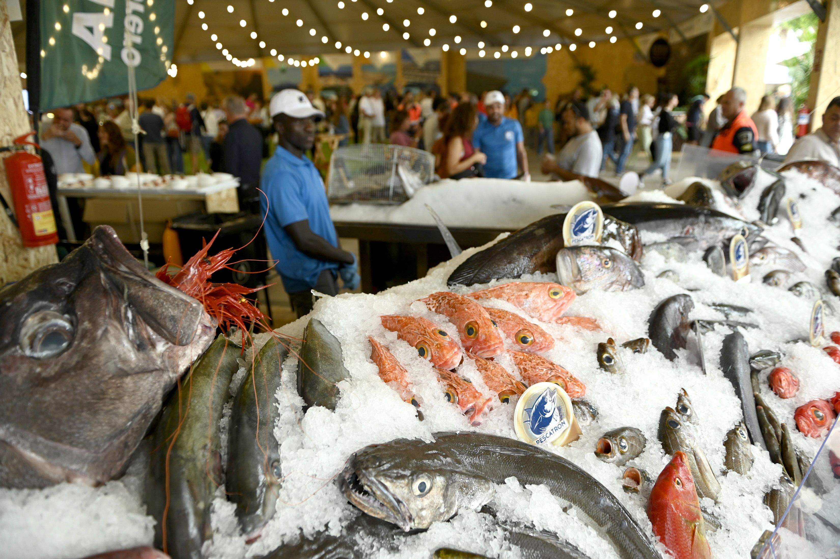 Primera jornada de Saborea Lanzarote  (Fotos: José Luis Carrasco)