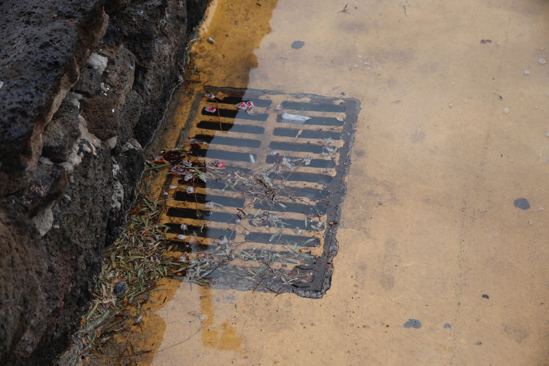 Las primeras lluvias del otoño en Lanzarote. Foto: José Luis Carrasco.