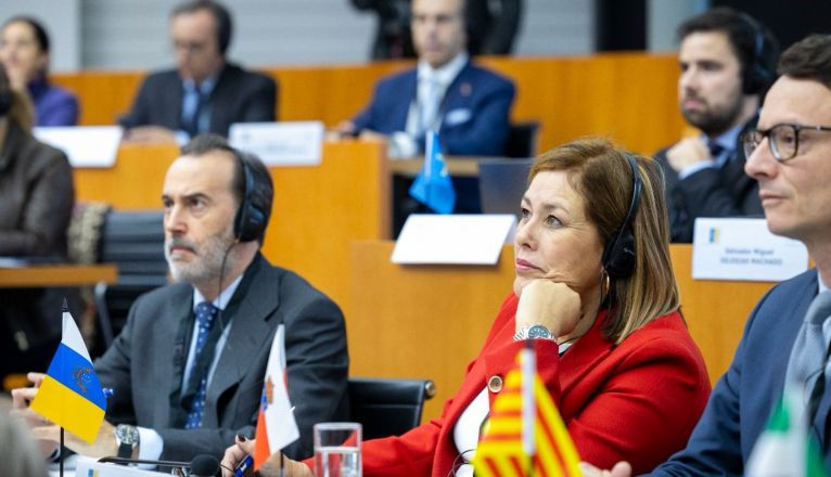 La presidenta del Parlamento de Canarias, Astrid Pérez, este jueves en Bruselas. 